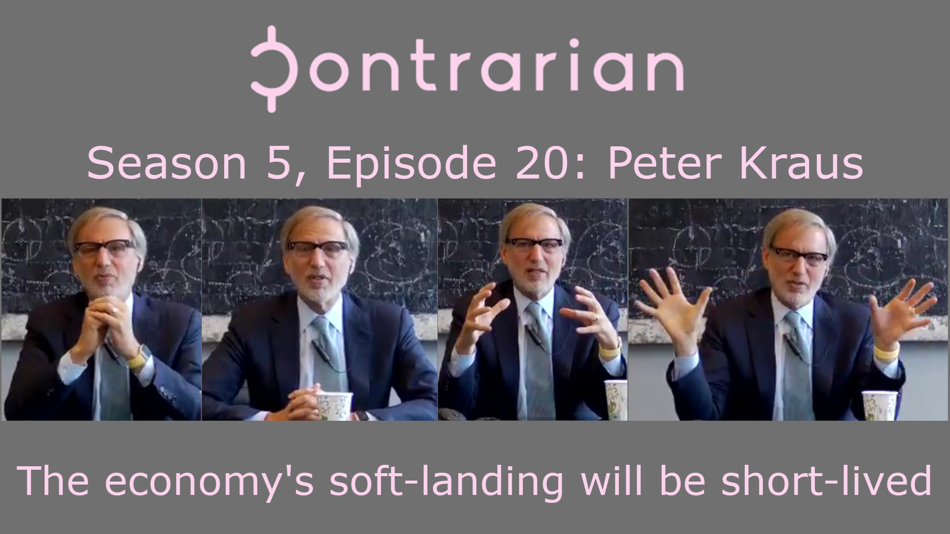 Contrarian Investor Podcast Season 5 Episode 20 cover art